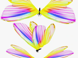 DOWNLOAD BUTTERFLY 3D MODEL 3D Model