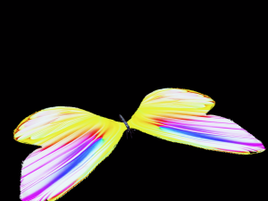 DOWNLOAD BUTTERFLY 3D MODEL Modelo 3D
