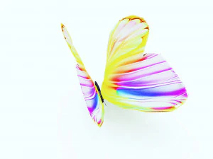 DOWNLOAD BUTTERFLY 3D MODEL 3D Model