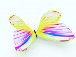 DOWNLOAD BUTTERFLY 3D MODEL 3D Model