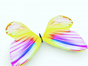 DOWNLOAD BUTTERFLY 3D MODEL Modelo 3D
