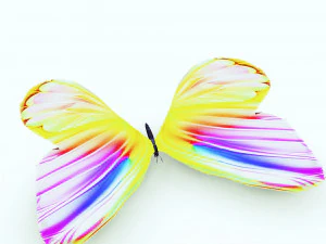 DOWNLOAD BUTTERFLY 3D MODEL 3D Model