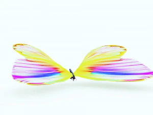 DOWNLOAD BUTTERFLY 3D MODEL 3D Model