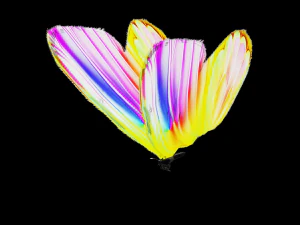 DOWNLOAD BUTTERFLY 3D MODEL 3D Model