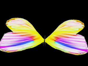 DOWNLOAD BUTTERFLY 3D MODEL 3D Model