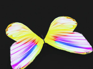 DOWNLOAD BUTTERFLY 3D MODEL 3D Model