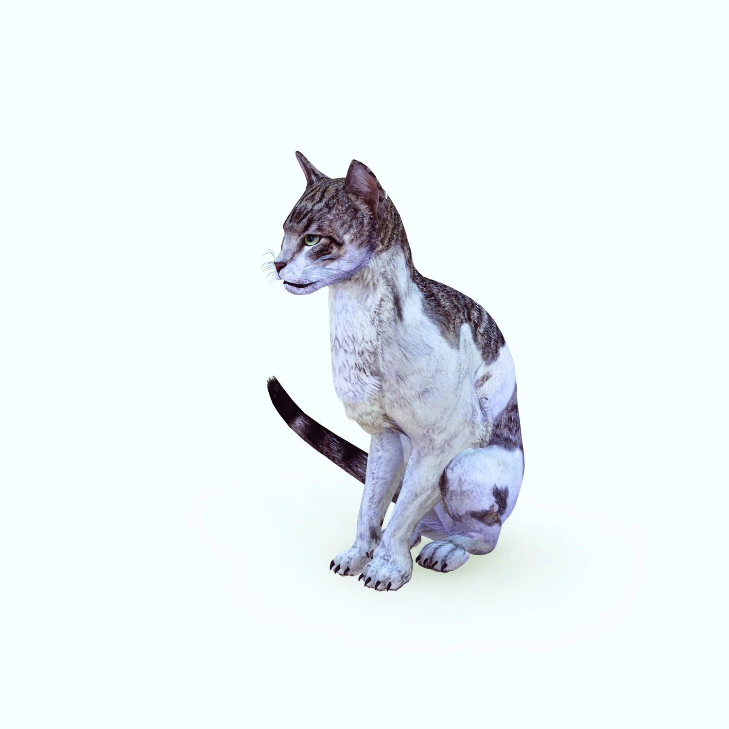 BAIXAR GATO MODELO 3D GATO - FELINO Modelo 3D .c4d .max .obj .3ds .fbx .stl .blend 