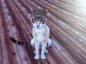 BAIXAR GATO MODELO 3D GATO - FELINO Modelo 3D