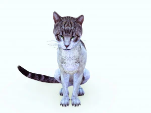 BAIXAR GATO MODELO 3D GATO - FELINO Modelo 3D