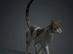 BAIXAR GATO MODELO 3D GATO - FELINO Modelo 3D