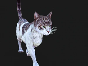 BAIXAR GATO MODELO 3D GATO - FELINO Modelo 3D