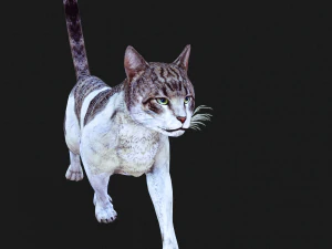 BAIXAR GATO MODELO 3D GATO - FELINO Modelo 3D