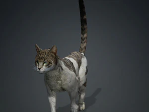 BAIXAR GATO MODELO 3D GATO - FELINO Modelo 3D