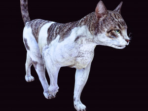 DOWNLOAD CAT 3D MODEL CAT - FELINE 3Dモデル