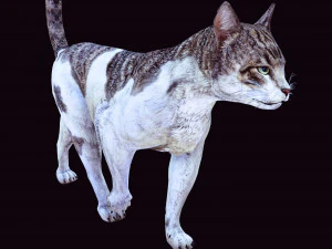 BAIXAR GATO MODELO 3D GATO - FELINO Modelo 3D