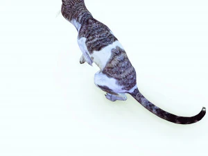 BAIXAR GATO MODELO 3D GATO - FELINO Modelo 3D