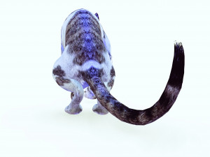 DOWNLOAD CAT 3D MODEL CAT - FELINE 3Dモデル