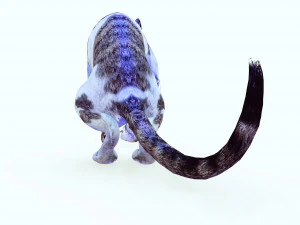 BAIXAR GATO MODELO 3D GATO - FELINO Modelo 3D