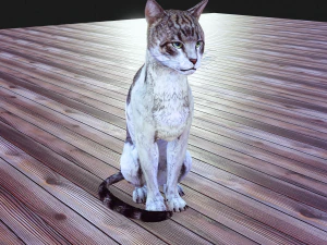 BAIXAR GATO MODELO 3D GATO - FELINO Modelo 3D
