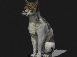 DOWNLOAD CAT 3D MODEL CAT - FELINE 3Dモデル