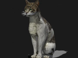 BAIXAR GATO MODELO 3D GATO - FELINO Modelo 3D