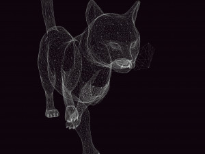 DOWNLOAD CAT 3D MODEL CAT - FELINE 3Dモデル