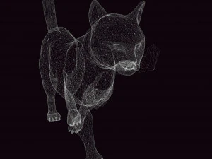 BAIXAR GATO MODELO 3D GATO - FELINO Modelo 3D