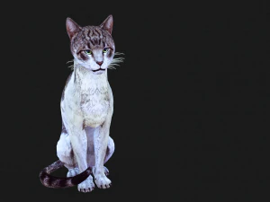 BAIXAR GATO MODELO 3D GATO - FELINO Modelo 3D