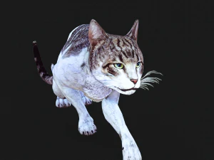 BAIXAR GATO MODELO 3D GATO - FELINO Modelo 3D