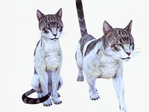 DOWNLOAD CAT 3D MODEL CAT - FELINE 3Dモデル