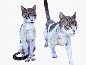 BAIXAR GATO MODELO 3D GATO - FELINO Modelo 3D