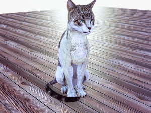DOWNLOAD CAT 3D MODEL CAT - FELINE 3Dモデル