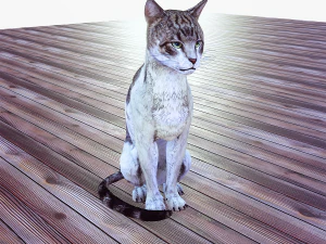 BAIXAR GATO MODELO 3D GATO - FELINO Modelo 3D