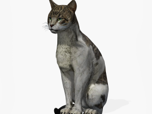 DOWNLOAD CAT 3D MODEL CAT - FELINE 3Dモデル