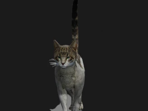 BAIXAR GATO MODELO 3D GATO - FELINO Modelo 3D