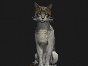 DOWNLOAD CAT 3D MODEL CAT - FELINE 3Dモデル