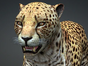 DOWNLOAD Cheetah 3D MODEL 3D Model