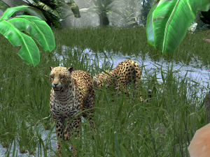DOWNLOAD Cheetah 3D MODEL 3D Модель