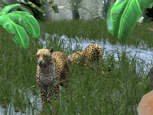 DOWNLOAD Cheetah 3D MODEL 3D Model