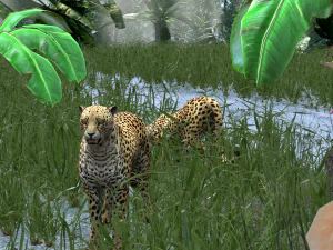 DOWNLOAD Cheetah 3D MODEL 3D Model