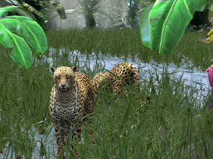DOWNLOAD Cheetah 3D MODEL 3D Model