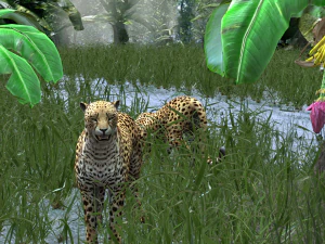 DOWNLOAD Cheetah 3D MODEL 3D Model