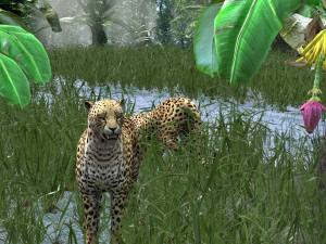 DOWNLOAD Cheetah 3D MODEL 3D Модель