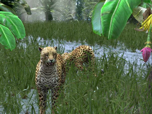 DOWNLOAD Cheetah 3D MODEL 3D Model