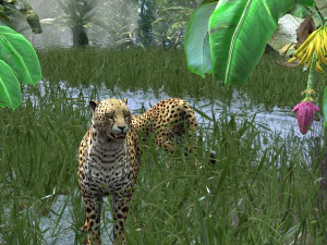 DOWNLOAD Cheetah 3D MODEL 3D Model