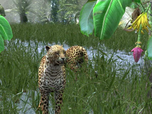 DOWNLOAD Cheetah 3D MODEL 3D Model