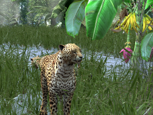 DOWNLOAD Cheetah 3D MODEL 3D Модель