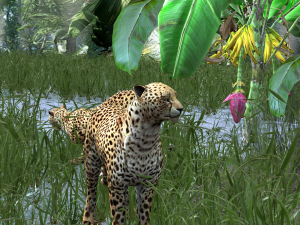 DOWNLOAD Cheetah 3D MODEL 3D Модель