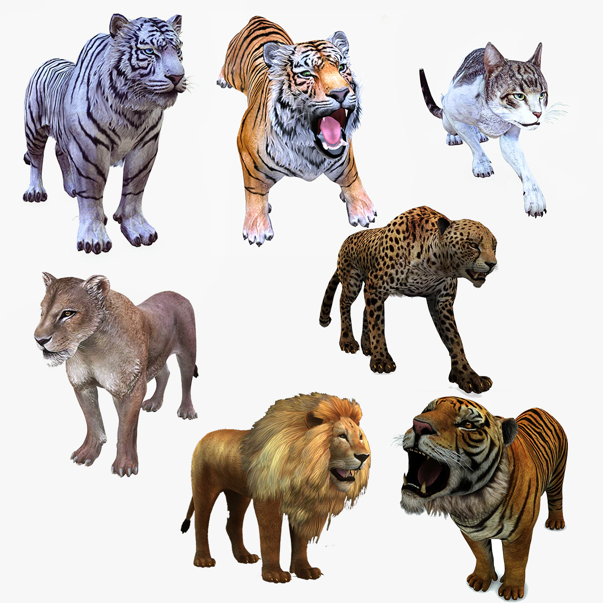 BAIXAR GATO MODELO 3D GATO LEOA TIGRE LE&Atilde;O CHITA LEOPARDO PREDADOR RAPTOR LEOA MONSTRO Modelo 3D .c4d .max .obj .3ds .fbx .stl .blend 