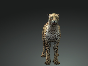 DOWNLOAD CAT 3D MODEL CAT LIONESS TIGER LION CHEETAH LEOPART PREDATOR RAPTOR LIONESS MONSTER 3D 모델